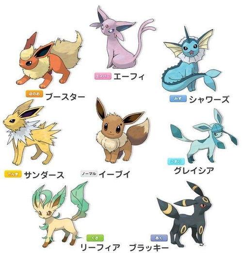 精灵宝可梦 进化,进化之旅，探寻神奇宝贝的奥秘与成长